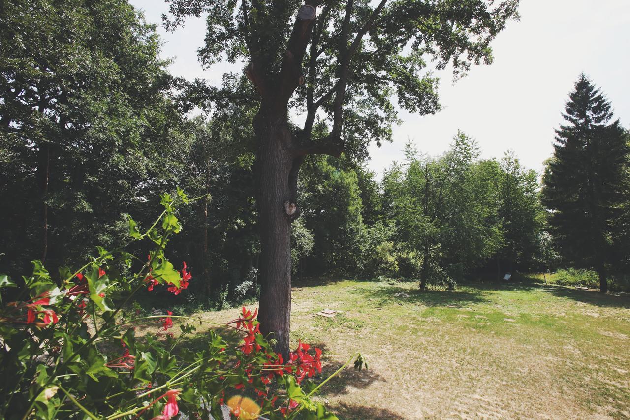 Hubertus Fogado Bed & Breakfast Csesznek ภายนอก รูปภาพ